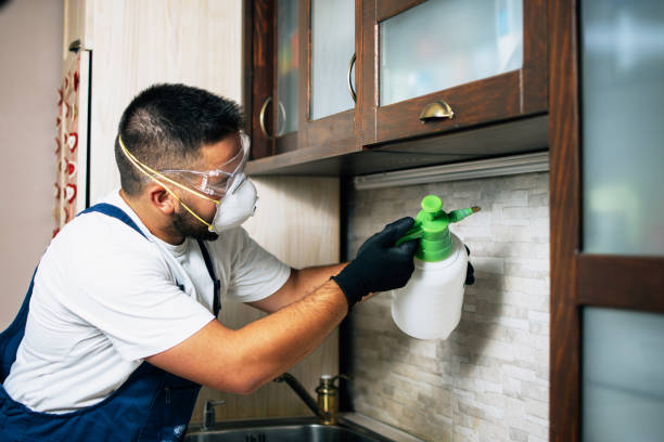 Best Mosquito Control Services  in Bloomingdale, GA