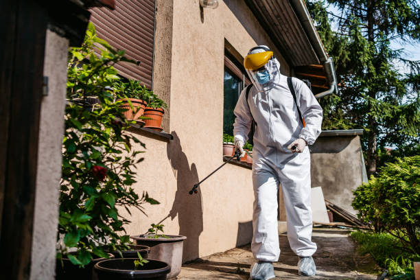 Best Affordable Pest Control Services  in Bloomingdale, GA