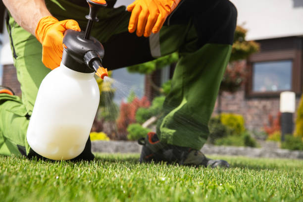 Best Bed Bug Extermination  in Bloomingdale, GA