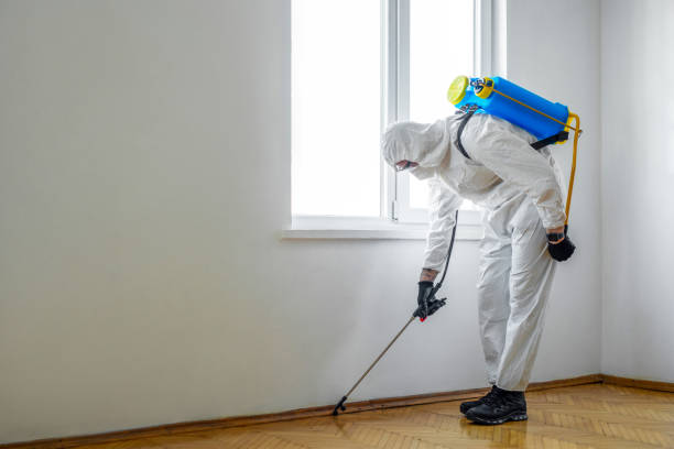 Best Pest Control Near Me  in Bloomingdale, GA