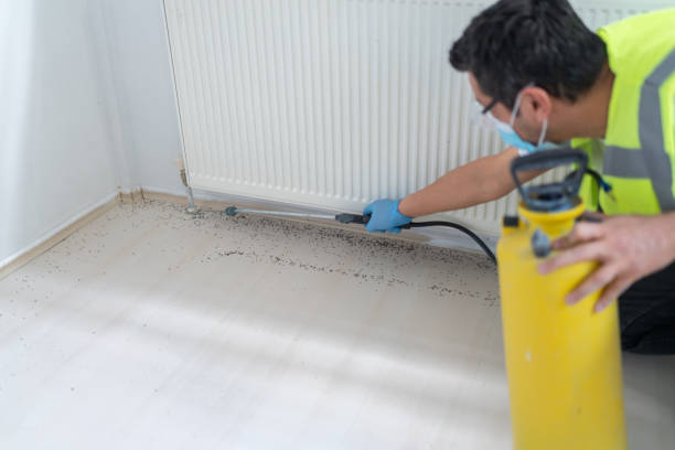 Best Cockroach Control Services  in Bloomingdale, GA