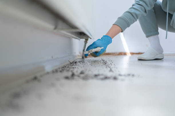 Best Emergency Pest Control  in Bloomingdale, GA